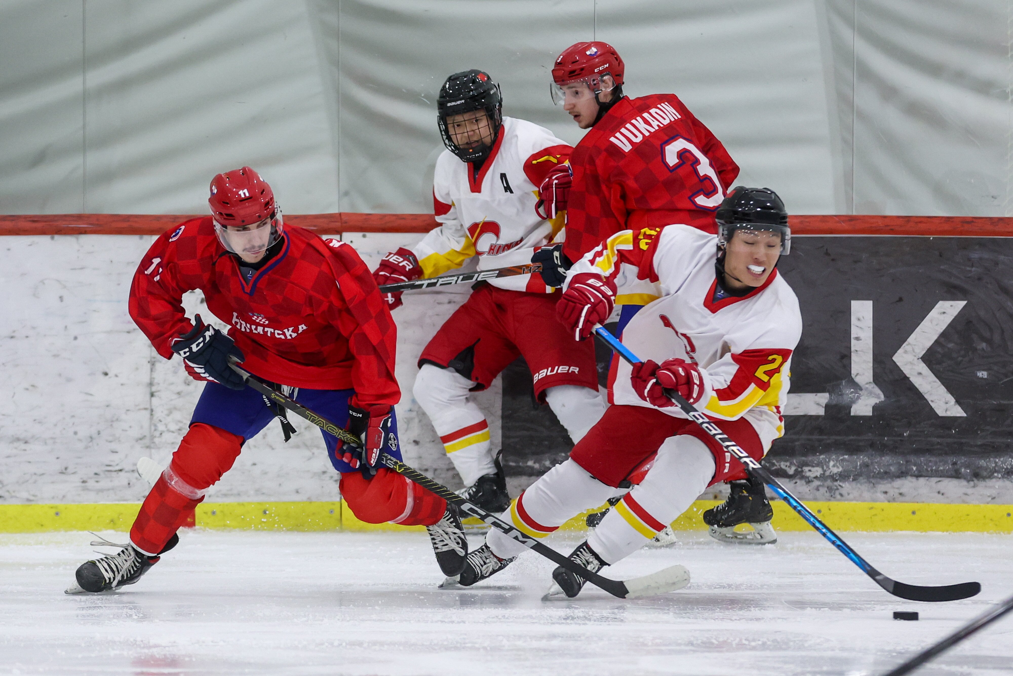 世界赛舞台,冰球代表国家出征荣耀 世界赛舞台,冰球代表国家出征荣耀