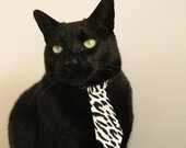 爱游戏入口-逆转与闪耀，索伯车队力压雷诺，诺里斯高光时刻铸就经典