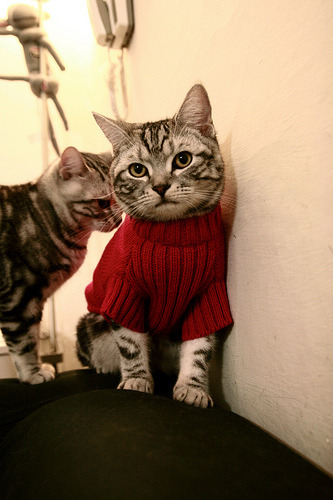 爱游戏在线-南美德比再现经典，铁卫制胜一击定江山