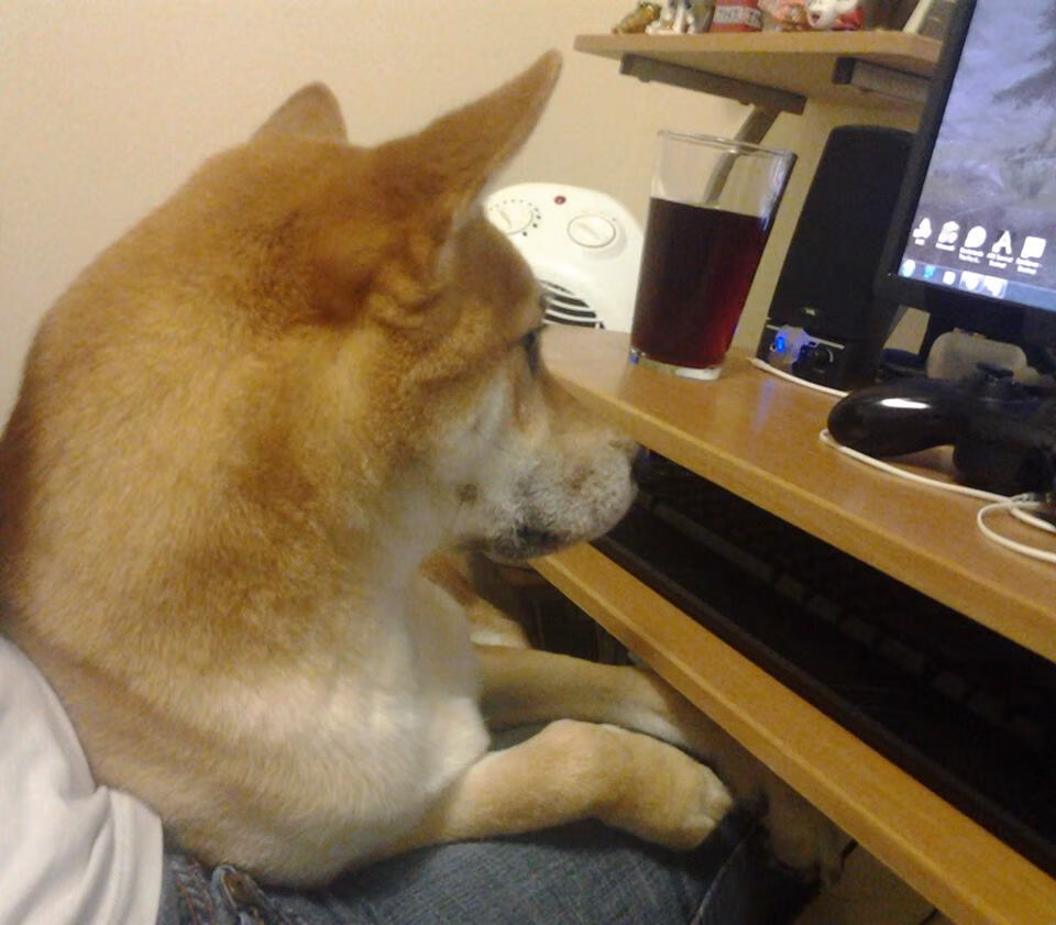 爱游戏入口-破碎的羽翼,辛杜利剑如何刺穿中国军团不败神话