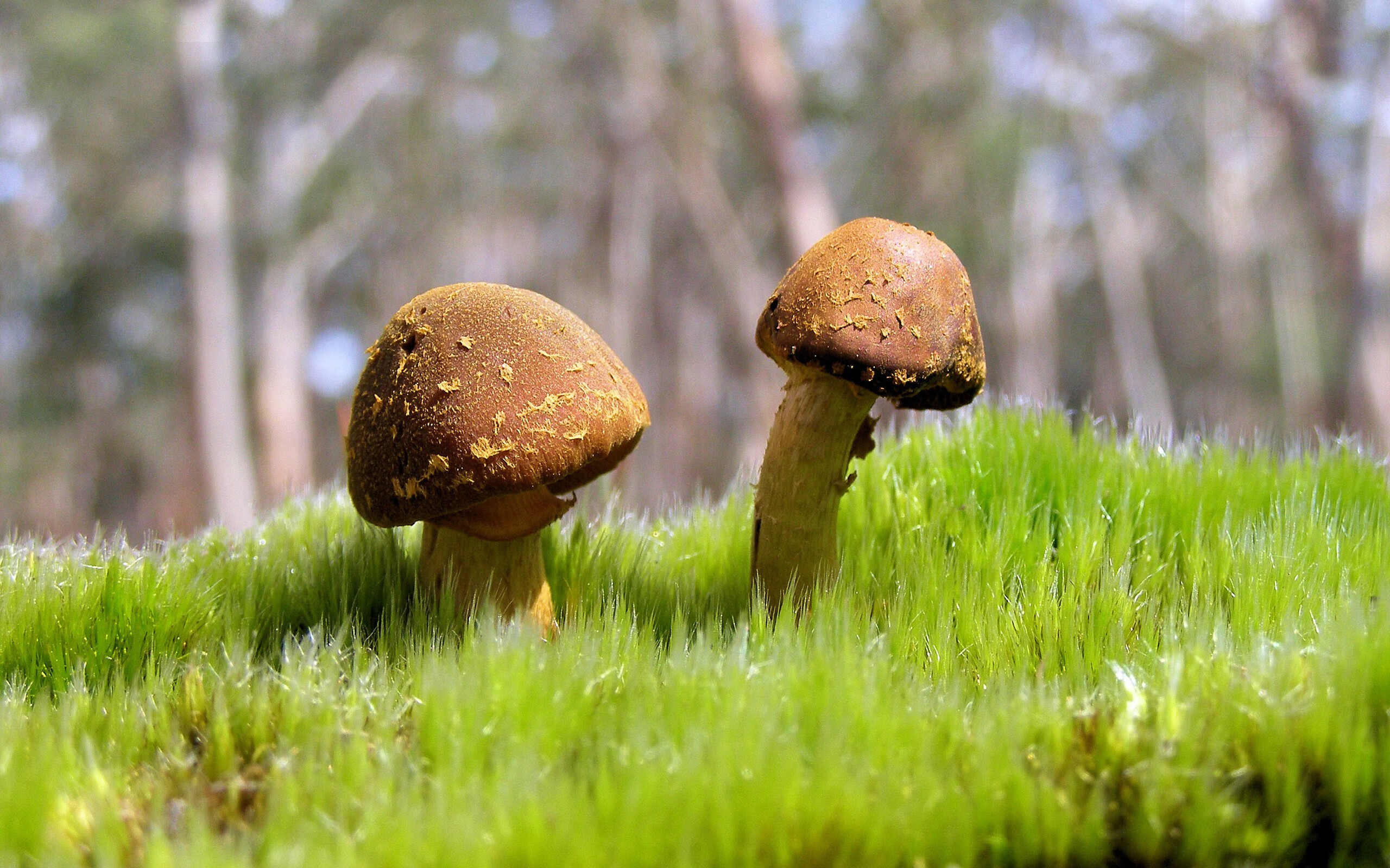 绝杀英雄！努涅斯力挽狂澜，大黄蜂读秒惊魂