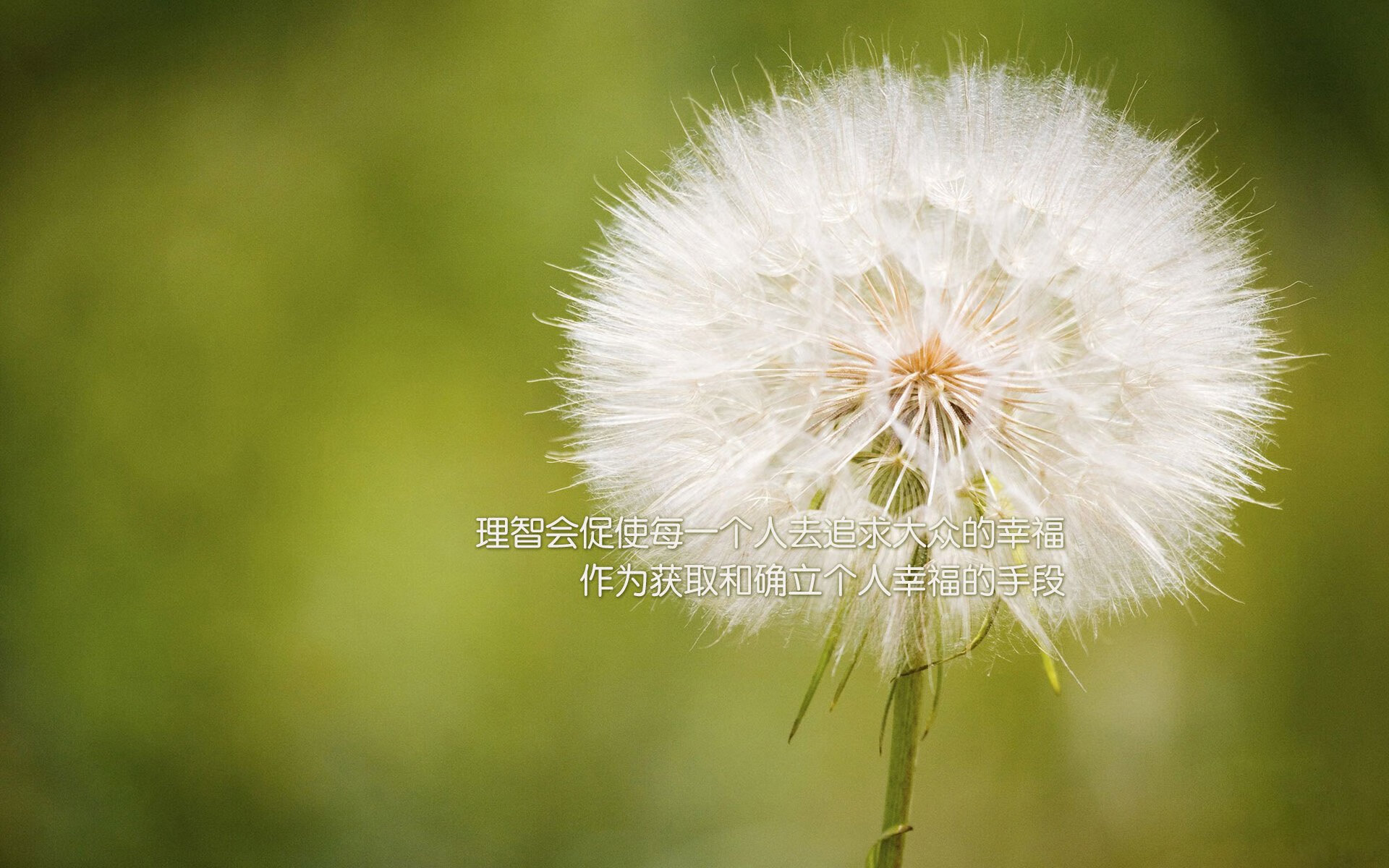 魔笛终章,新王初啼,马丁内利补时魔法撕裂格子军团