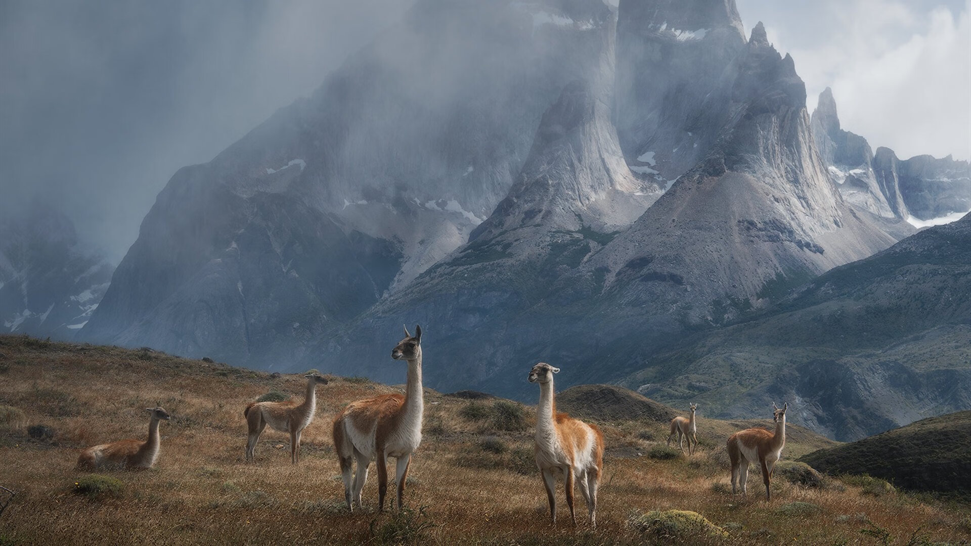 双重逆袭,当贝林厄姆的爆发力撞上爱尔兰的压迫感