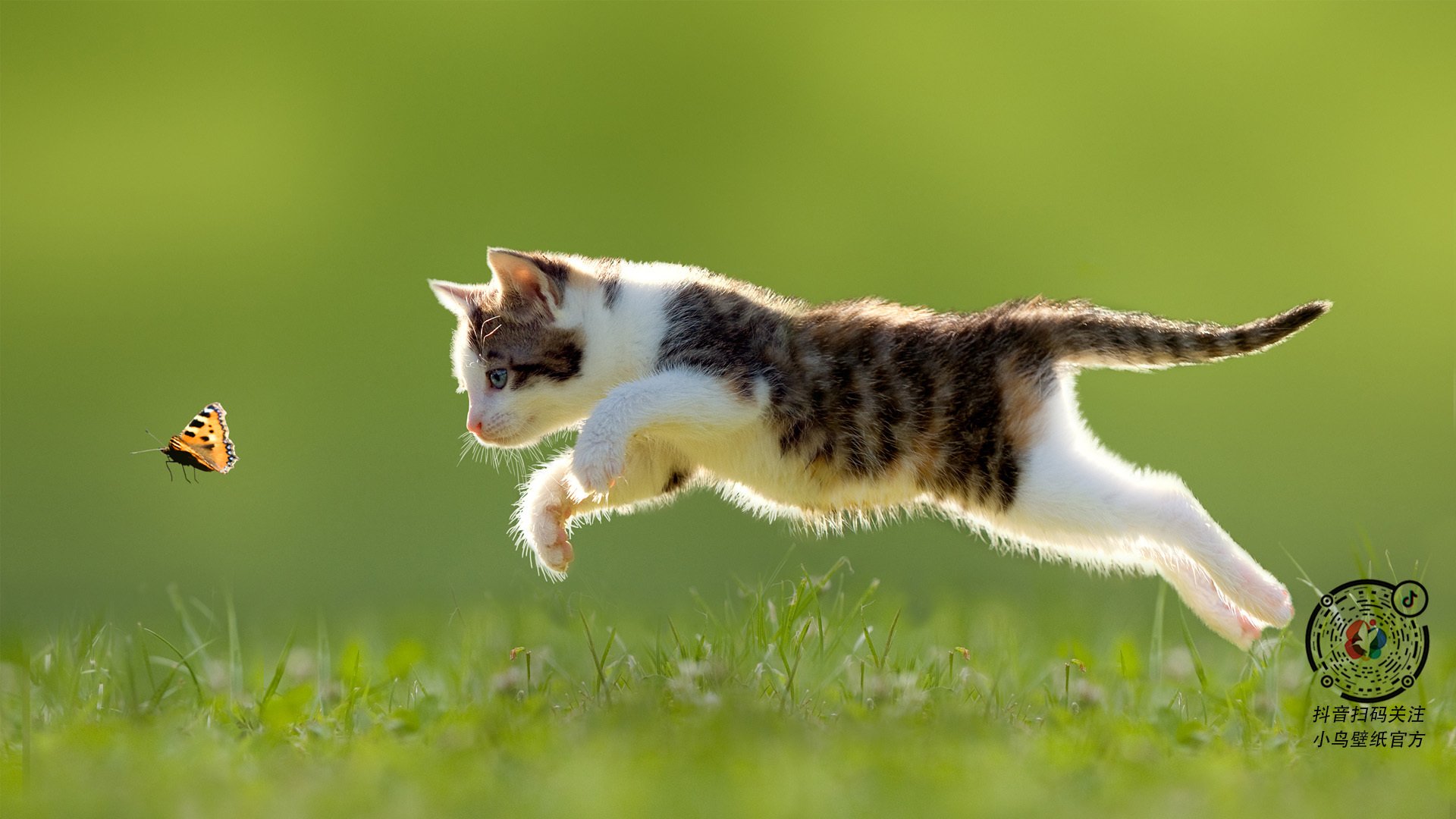 爱游戏体育-硬仗之王班凯罗发威，火箭稳稳拿下公牛