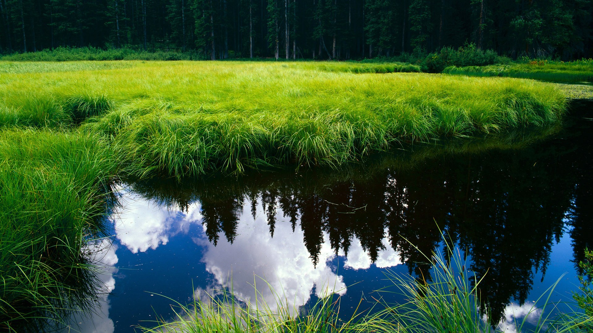 唯一镜像之战，当英格拉姆在另一个维度的中国赛完成终极进化