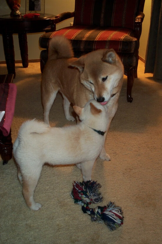 那不勒斯的魔法师与南美铁骑,克瓦拉茨赫利亚的爆发,如何照亮委内瑞拉通往马里的突围之路