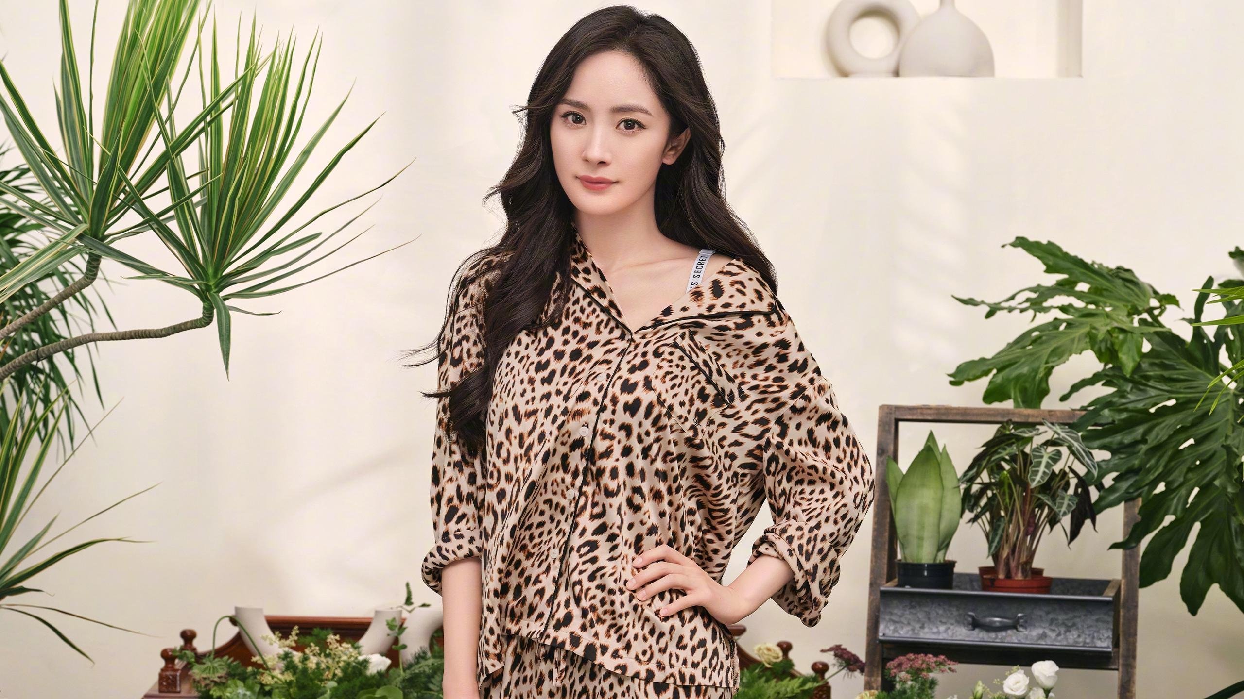 欧冠决赛与CBA霸主之间，横着一场跨维度的勇士法则