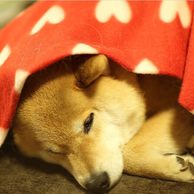 当第四节终归来临，保罗的里程碑与开拓者的时间魔法