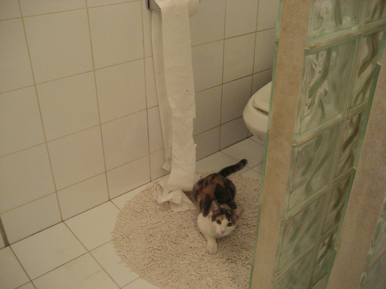 黄色海啸淹没丹麦，皮克上演守门奇迹