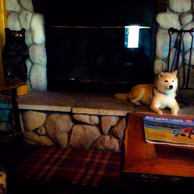 爱游戏大厅-唯一库里，总决赛夜的神性演出