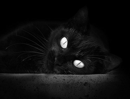 爱游戏体育-唯一性的光辉，阿圭罗巨星时刻引领丹麦击败国际米兰