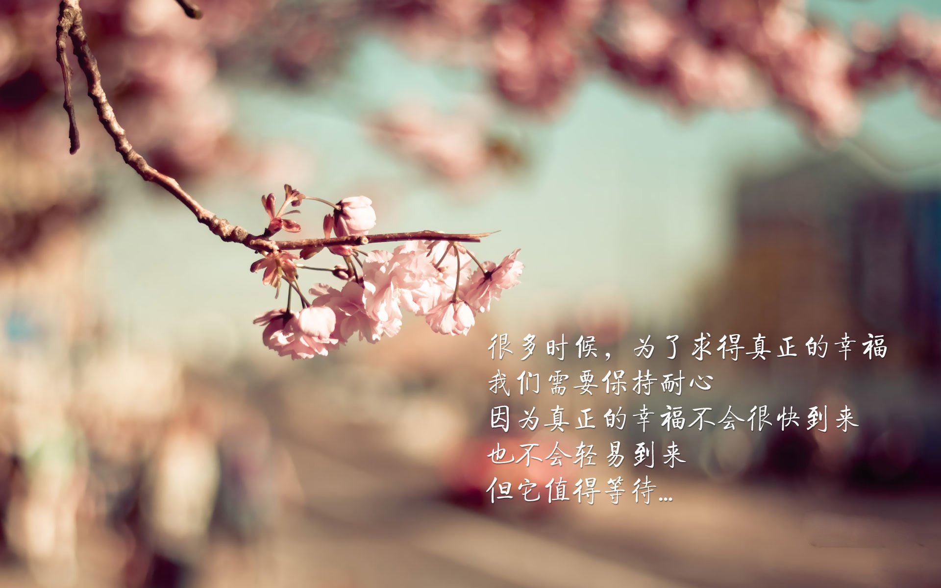 孤注一掷的蓝与黄，2026世界杯生死战，厄瓜多尔如何用一场横扫撕裂匈牙利，唤醒沉睡的进攻之魂