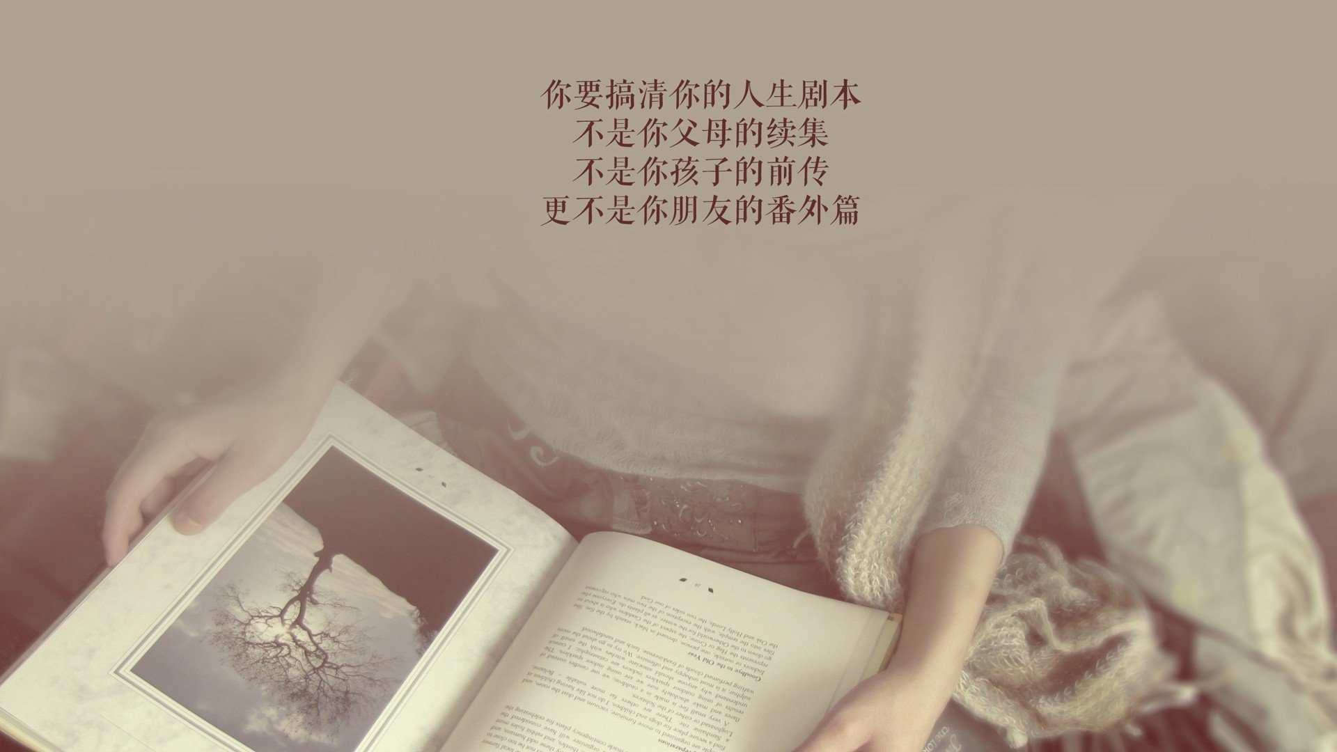 绝杀之夜，塔雷米火线封神，葡萄牙在2026世界杯D组险胜罗马尼亚的唯一剧本