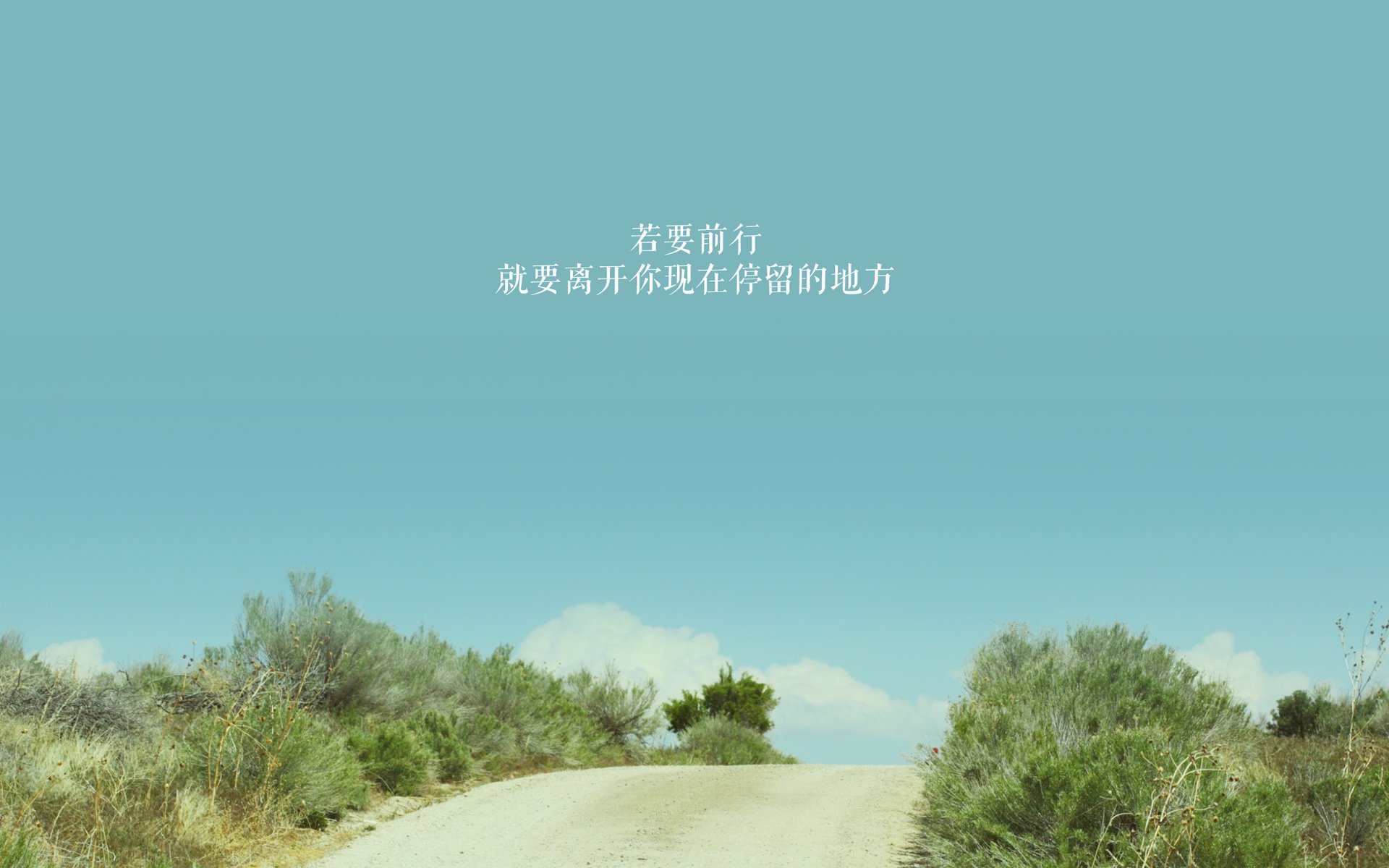 布罗佐维奇之刃，2026世界杯C组暗战，喀麦隆的德国防线裂痕